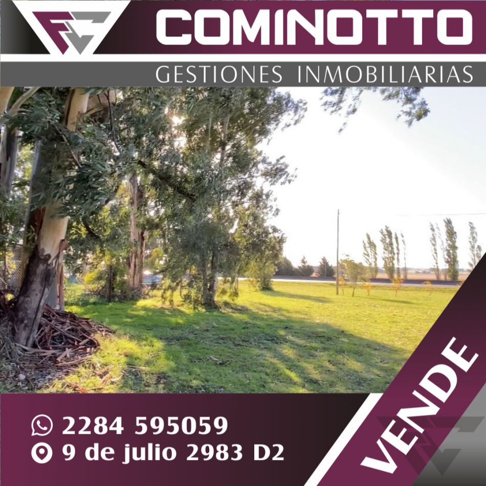 LOTE EN BELLA VISTA