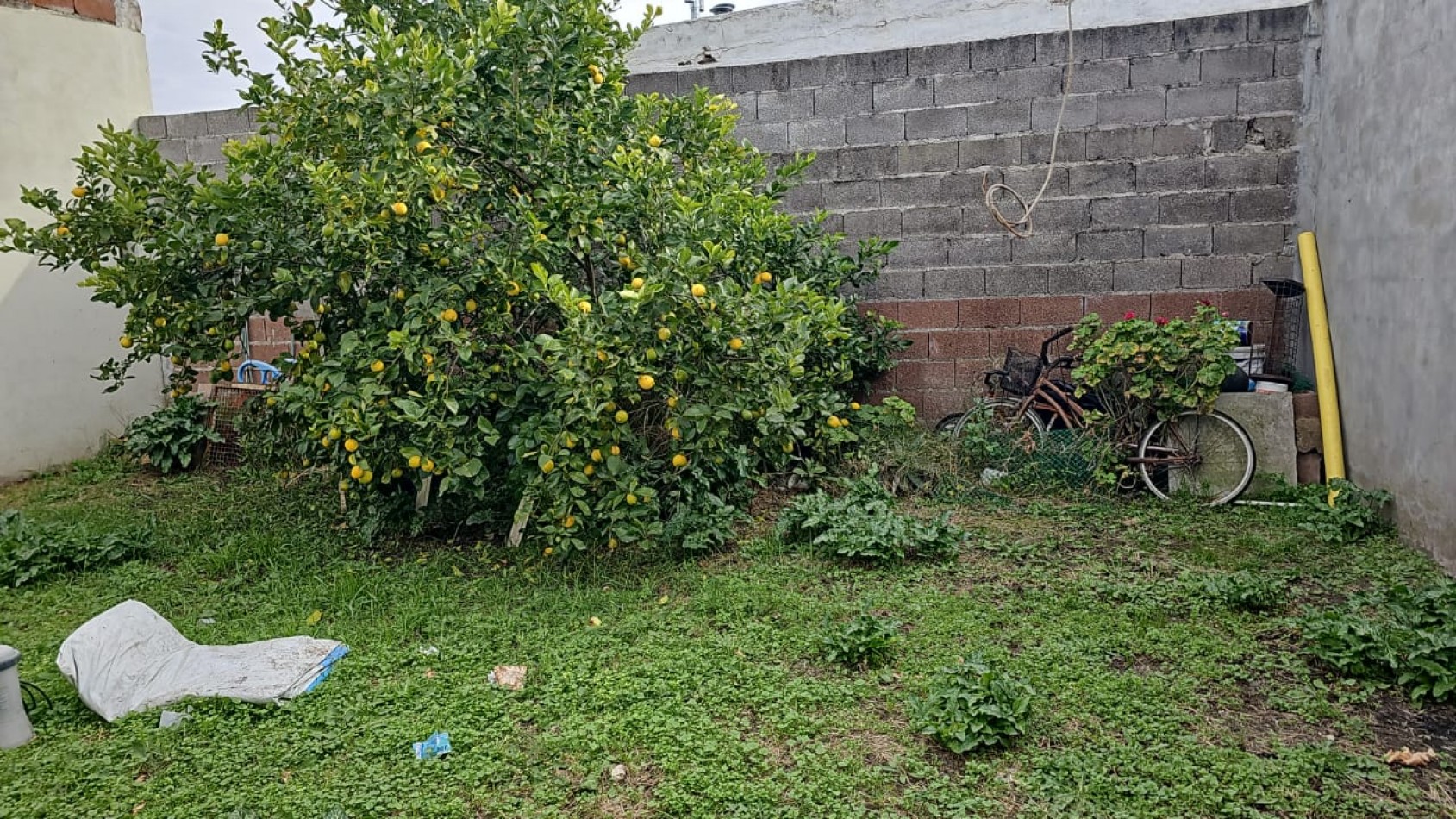 PROPIEDAD EN BARRIO SARMIENTO