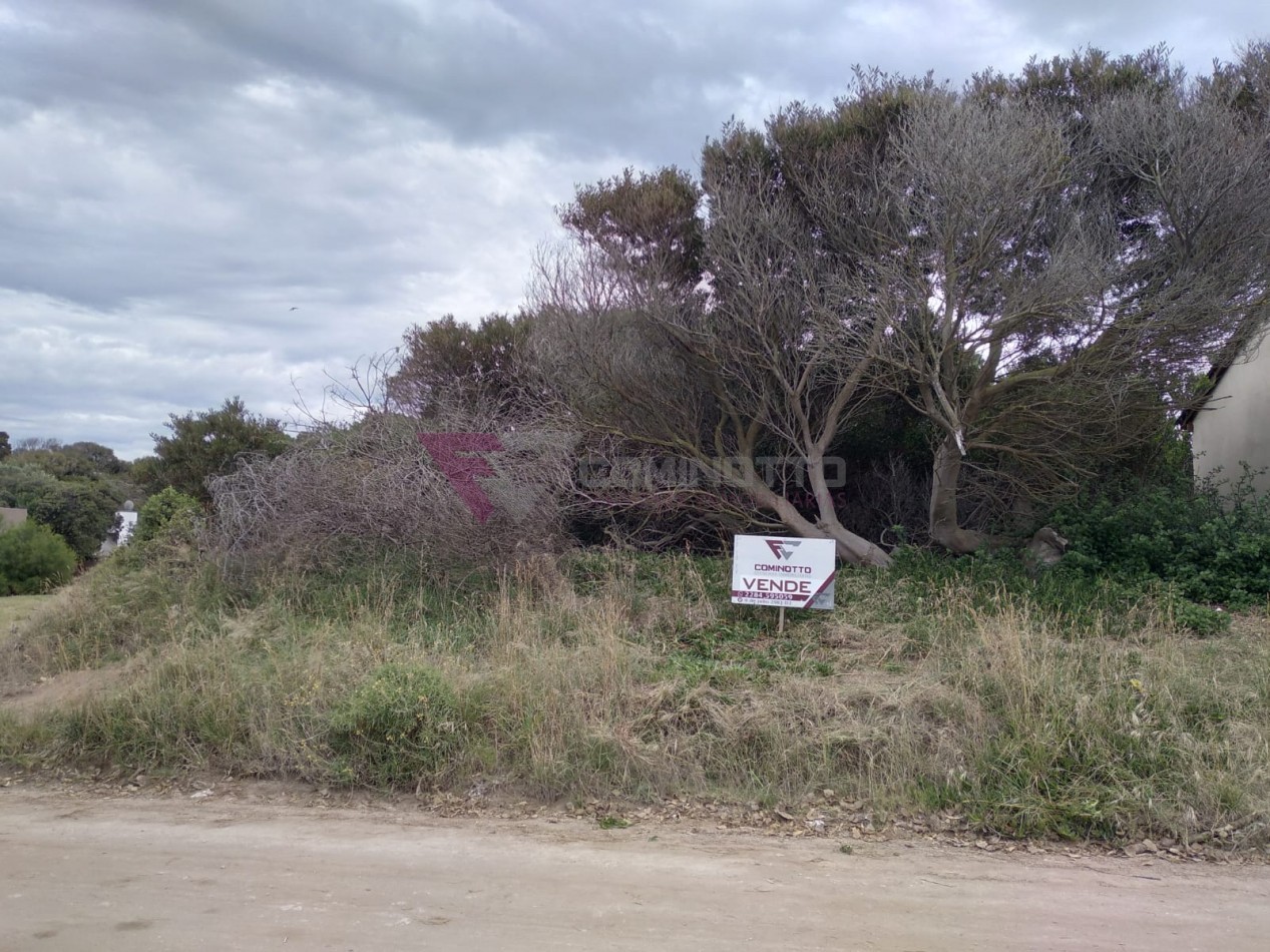 Excelete lote en Orense 