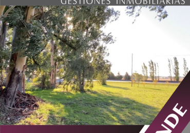 LOTE EN BELLA VISTA