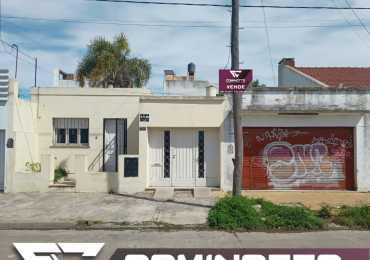 Casa + Local 